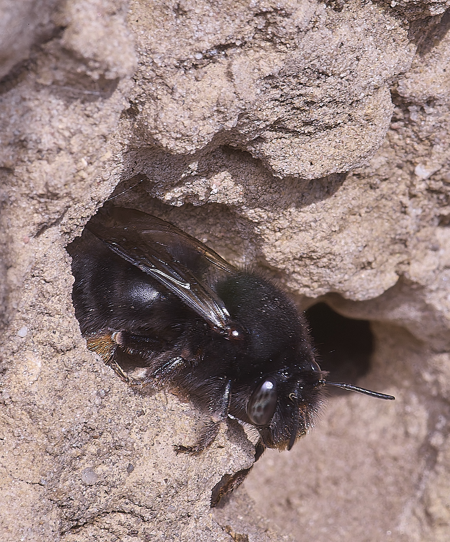 WeybourneHFFB070425-7