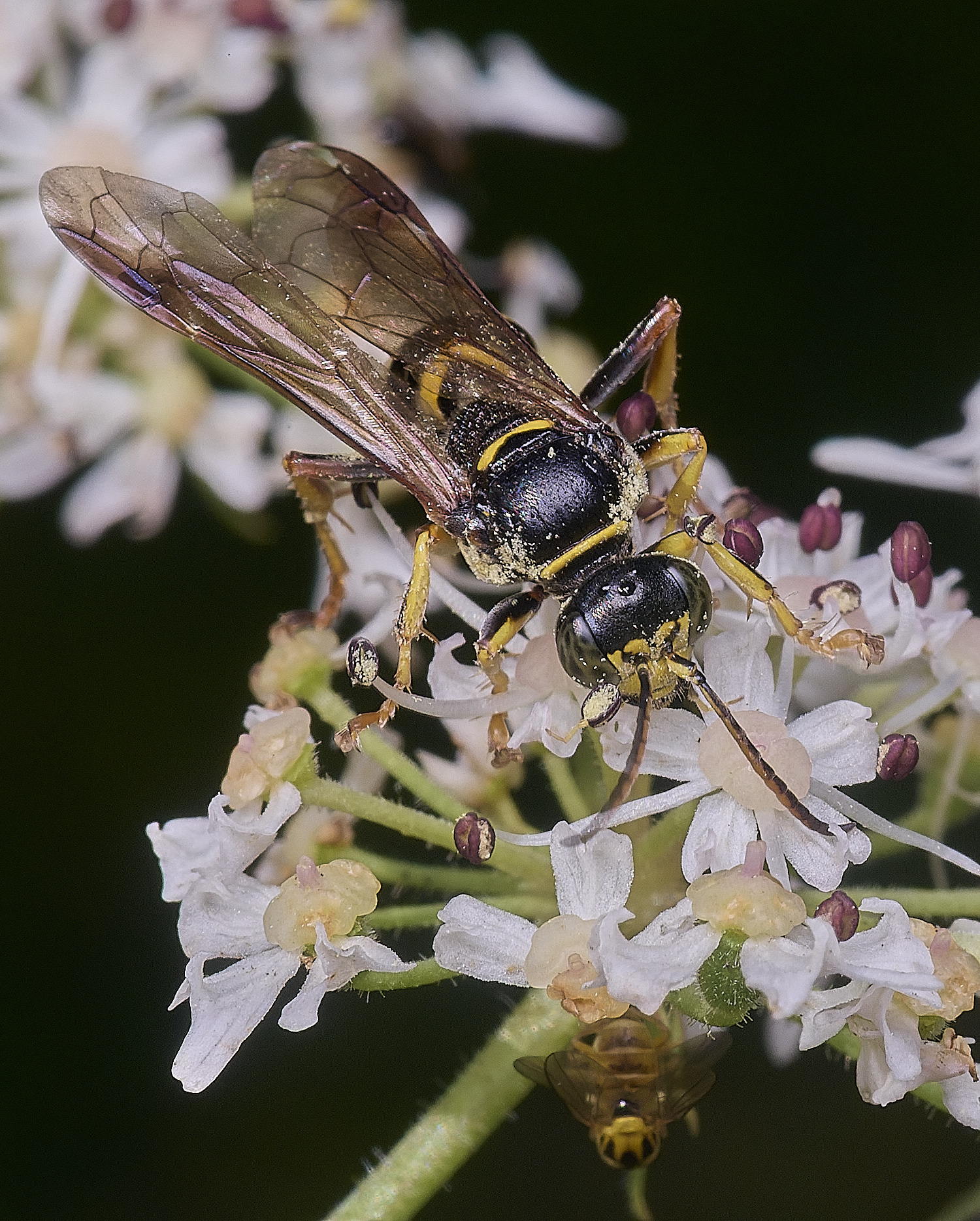 HanworthGorytes250725-9