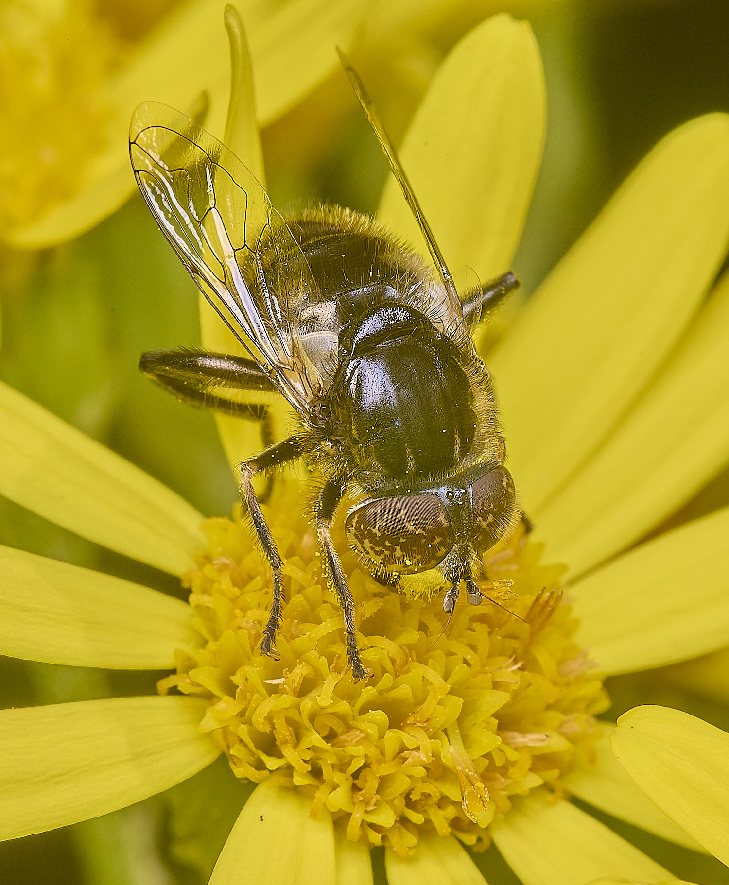 HanworthHover090725-1