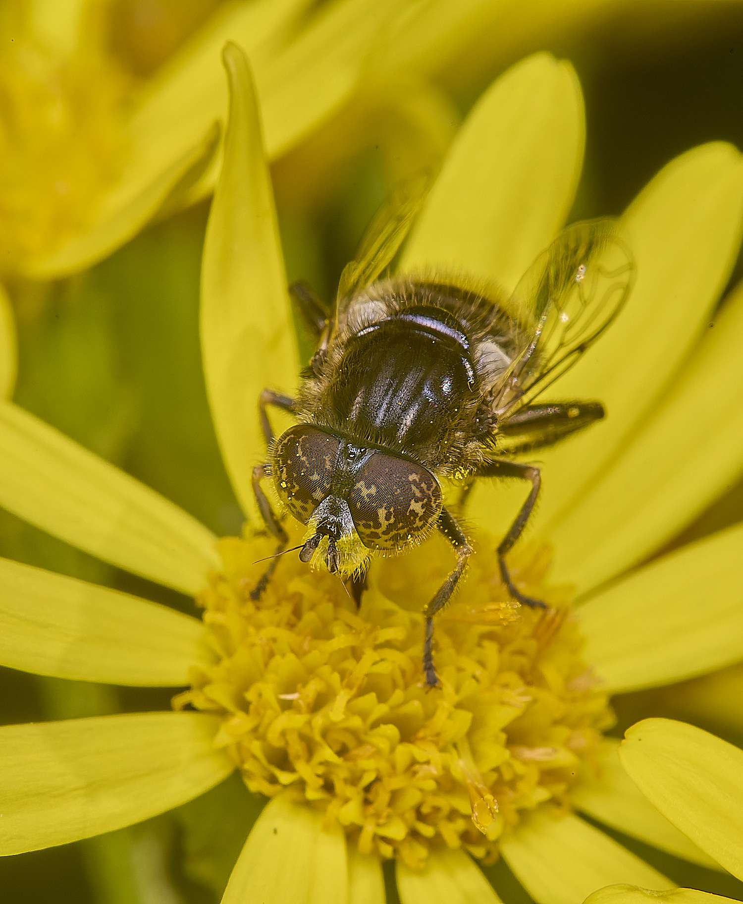 HanworthHover090725-2