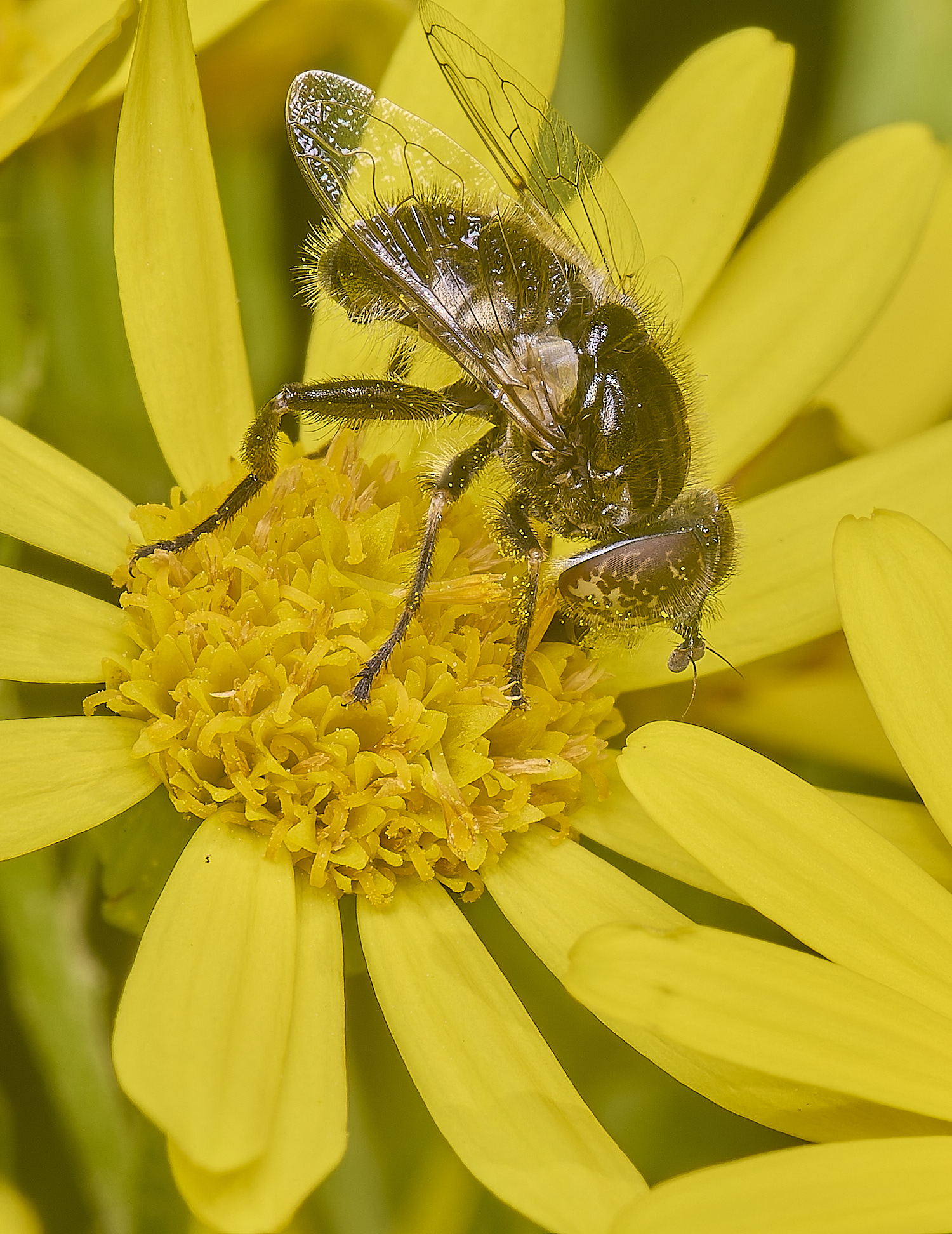 HanworthHover090725-3