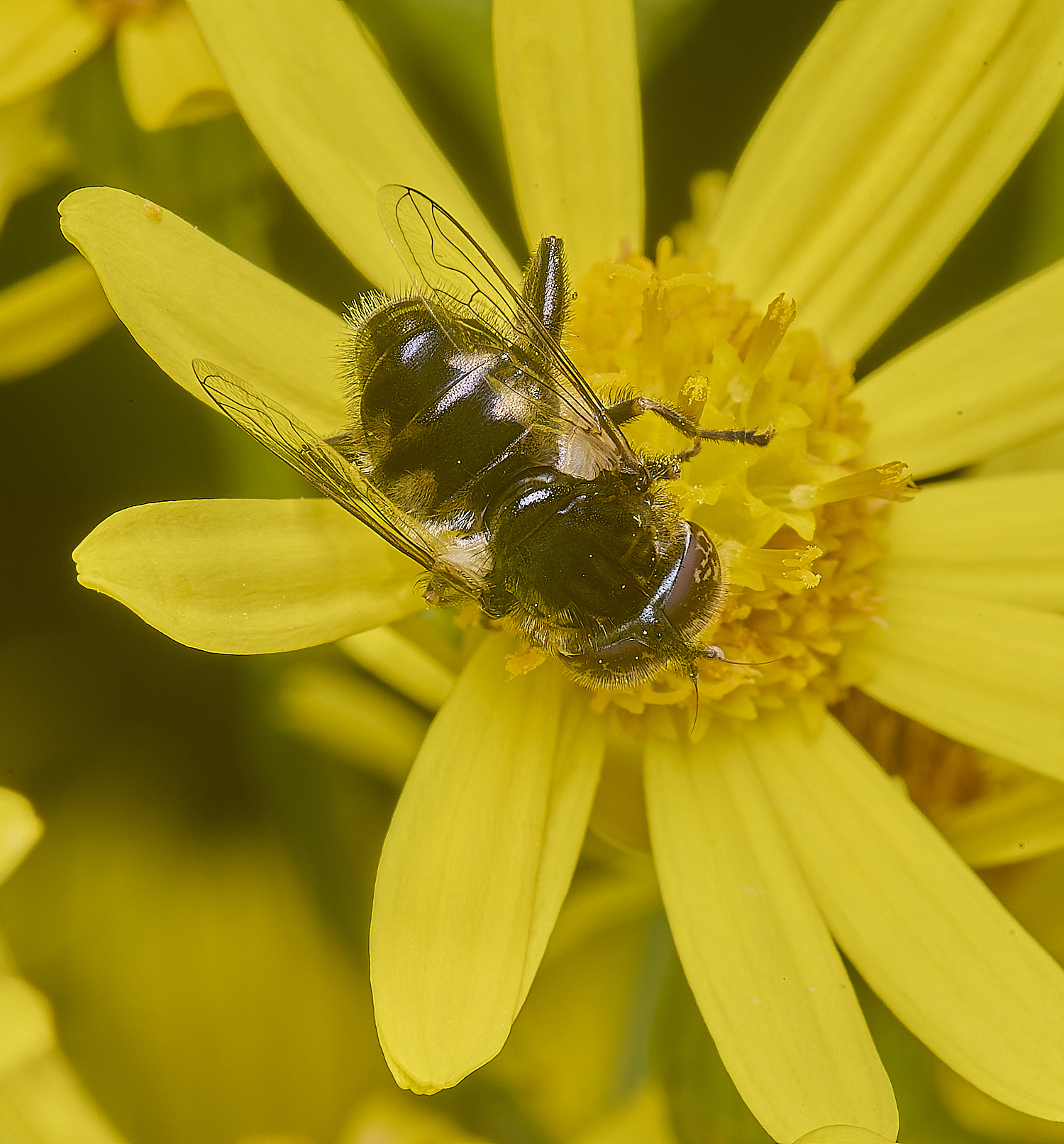 HanworthHover090725-4