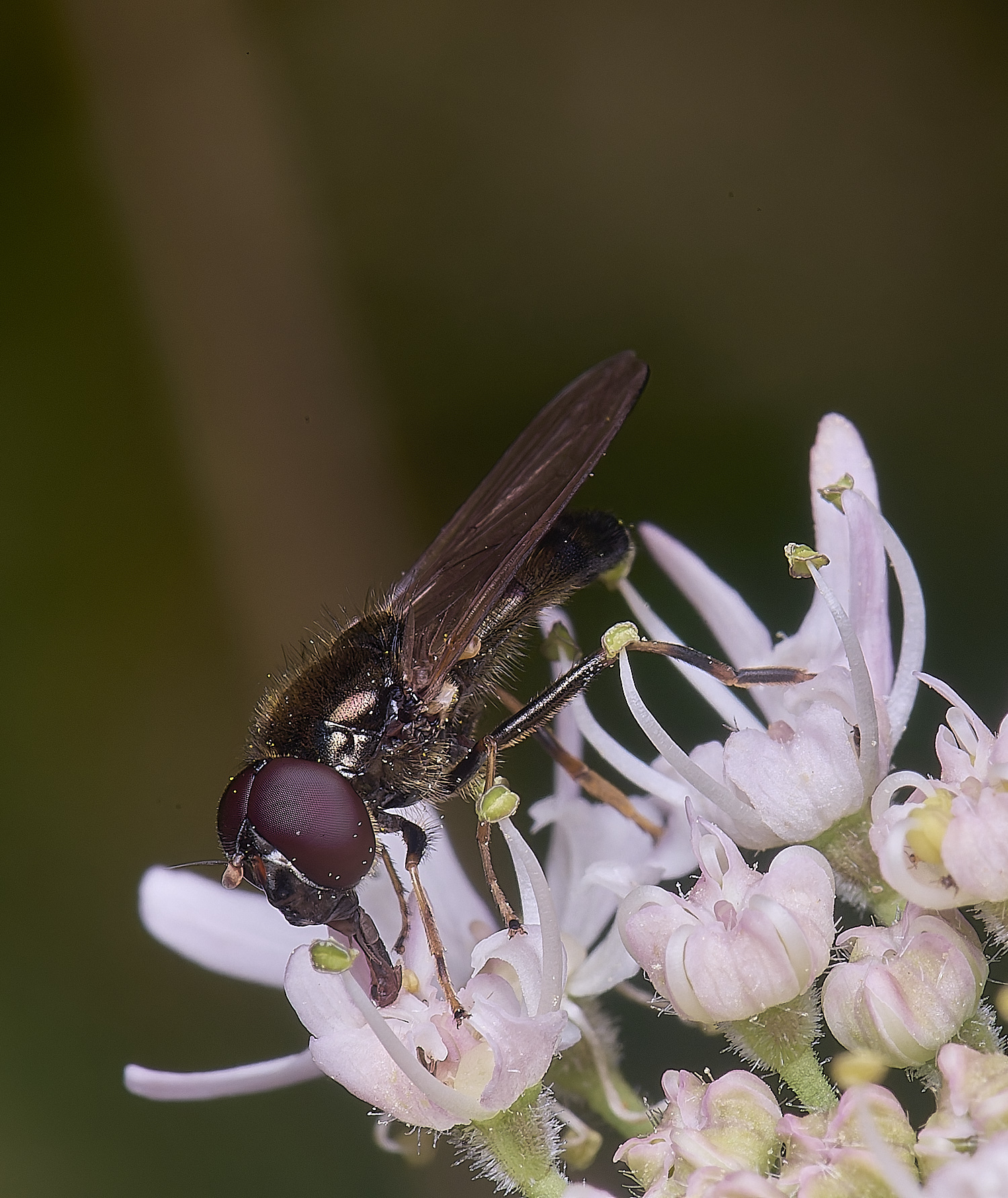 HanworthHover2180725-2