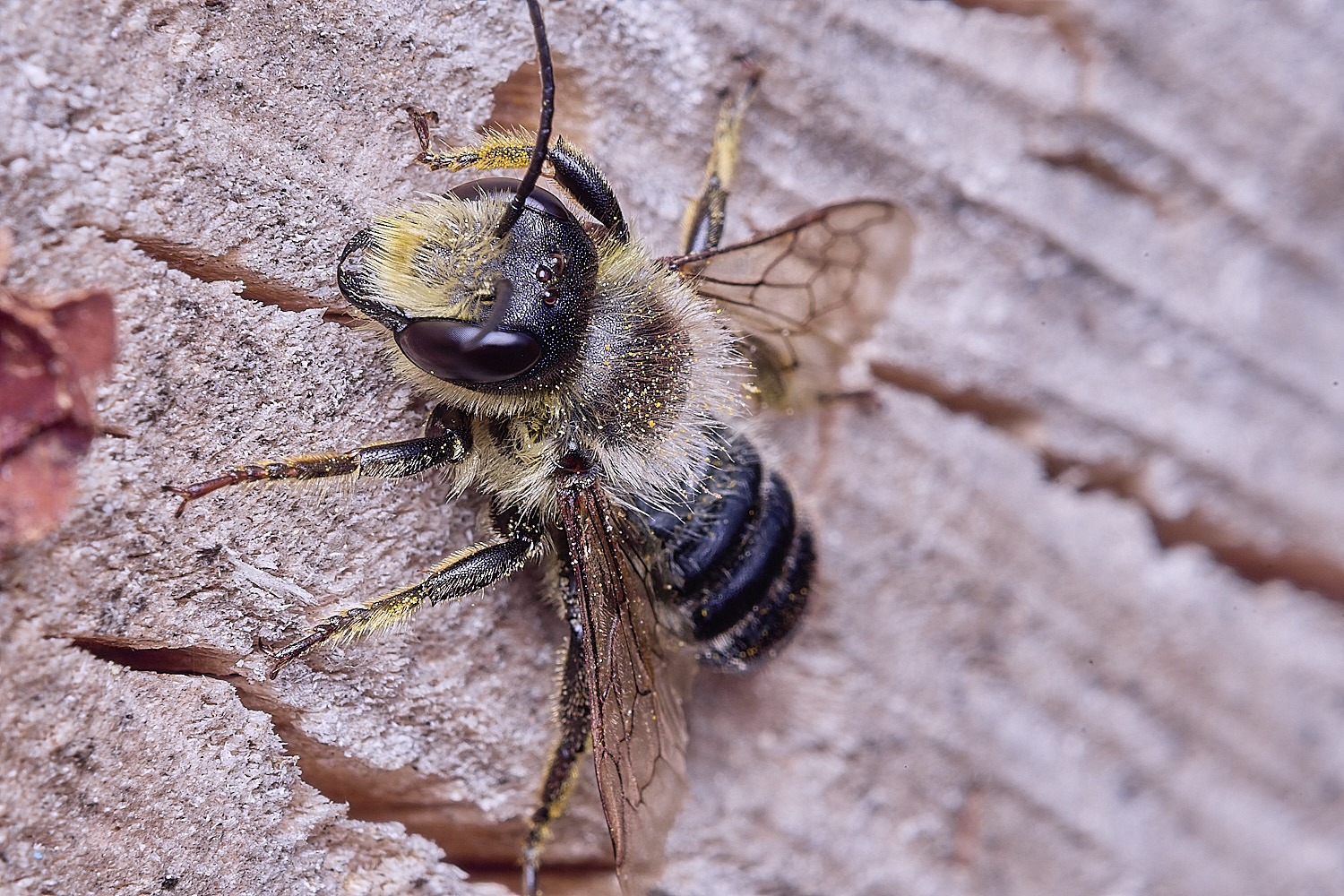 HanworthMligmiseca020825-1