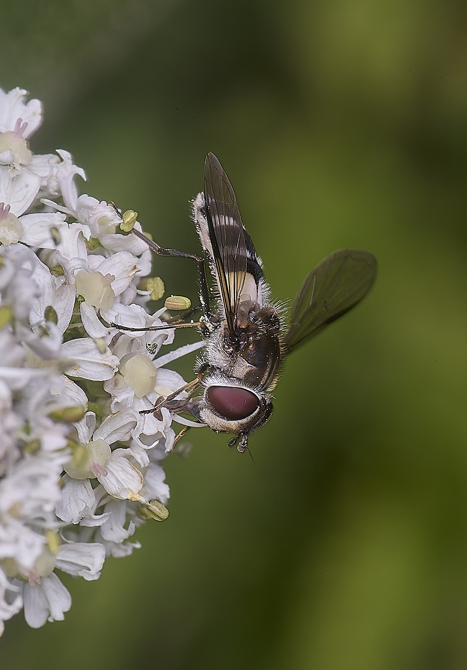 MarlingfordHover090725-3