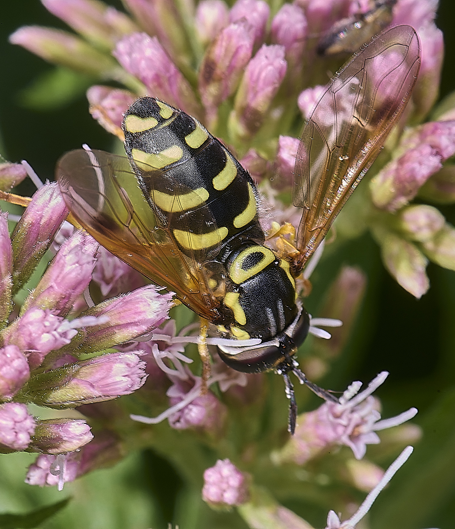 MarlingfordHover4070925-1