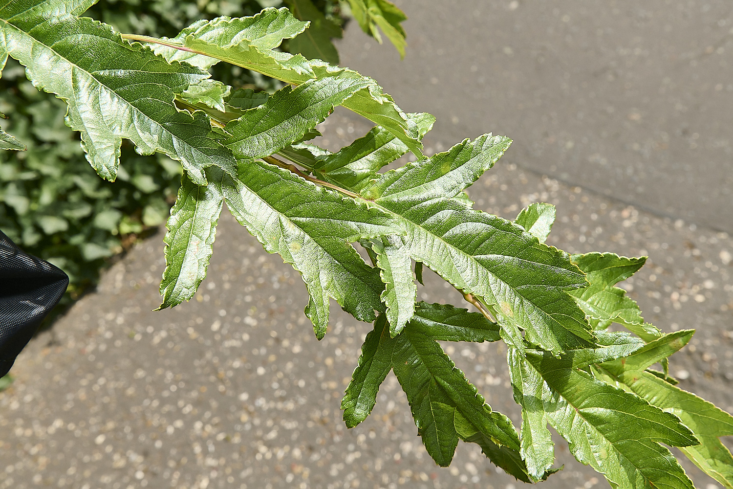 Norwich_040725-2-NEF-