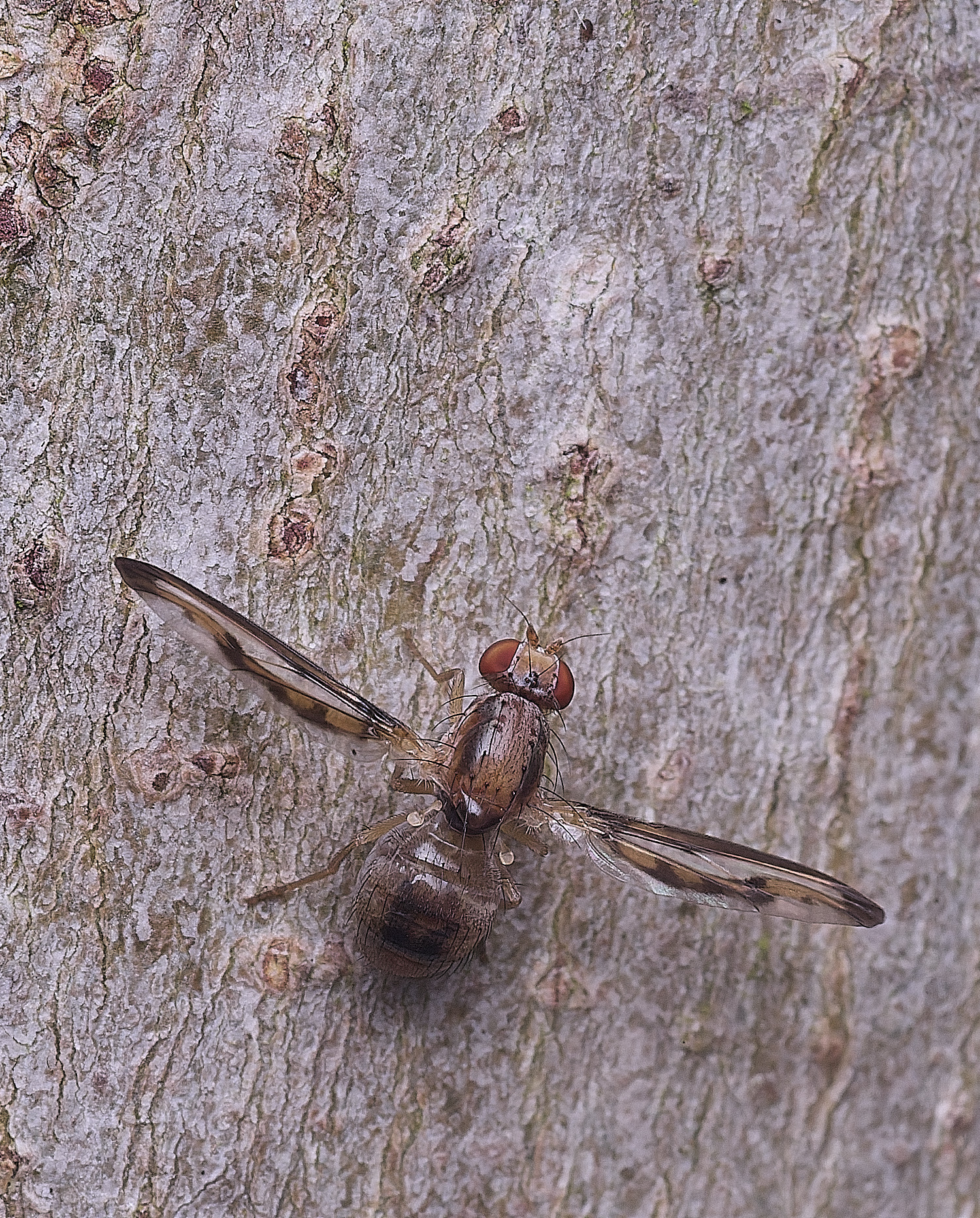 NorwichPictureWing300825-1