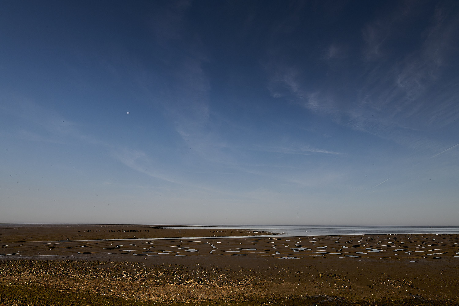 Snettisham130825-10