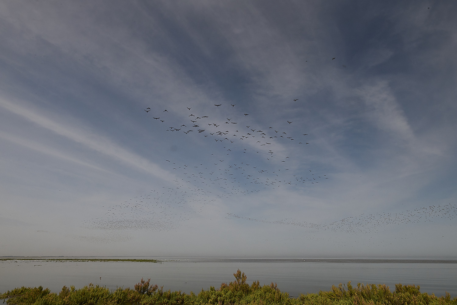 Snettisham130825-2