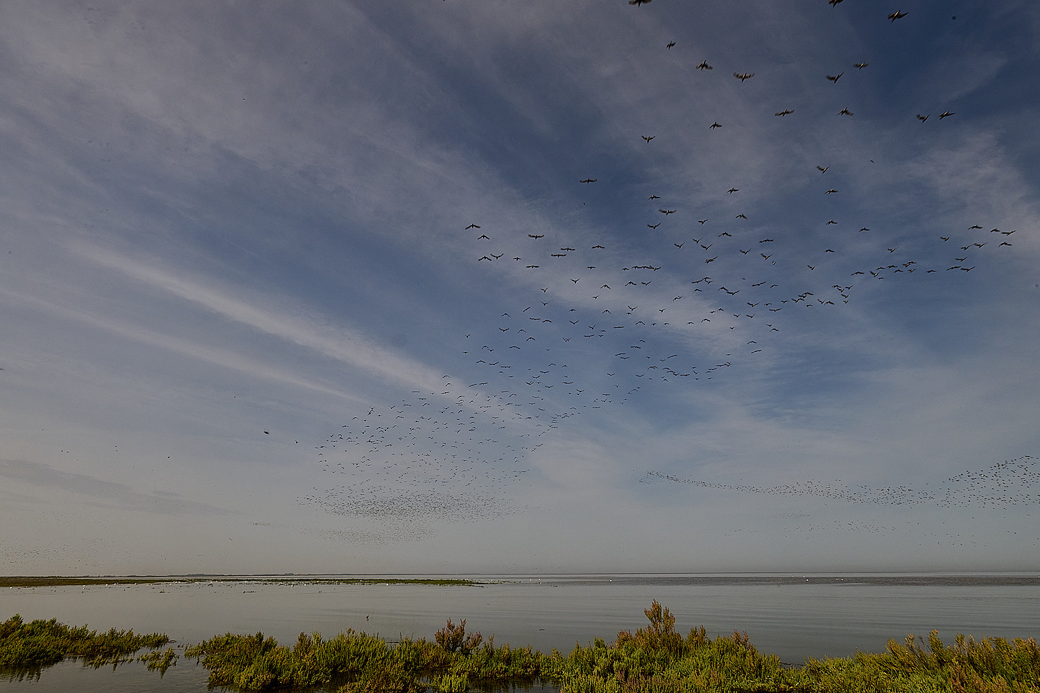 Snettisham130825-3