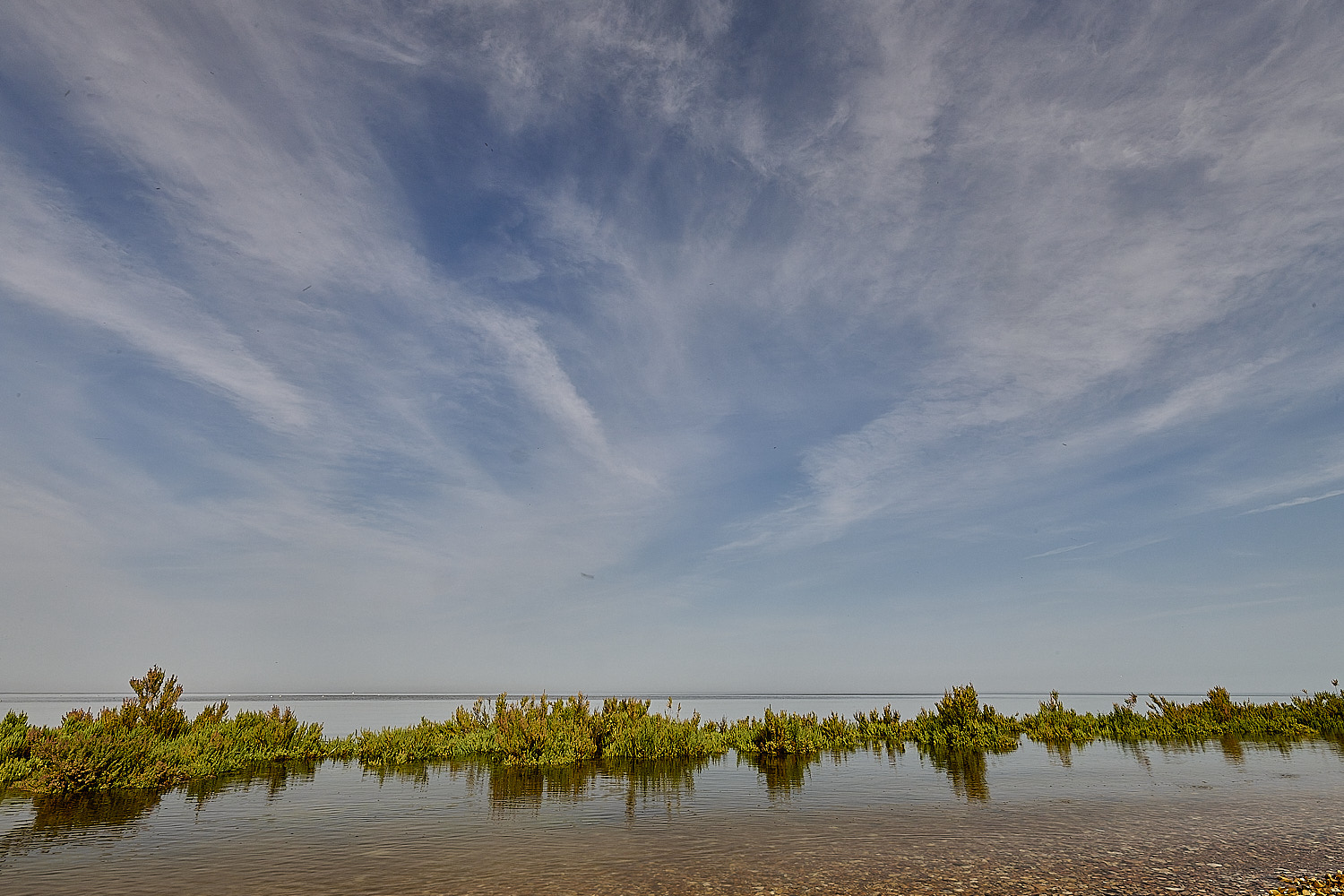 Snettisham130825-4