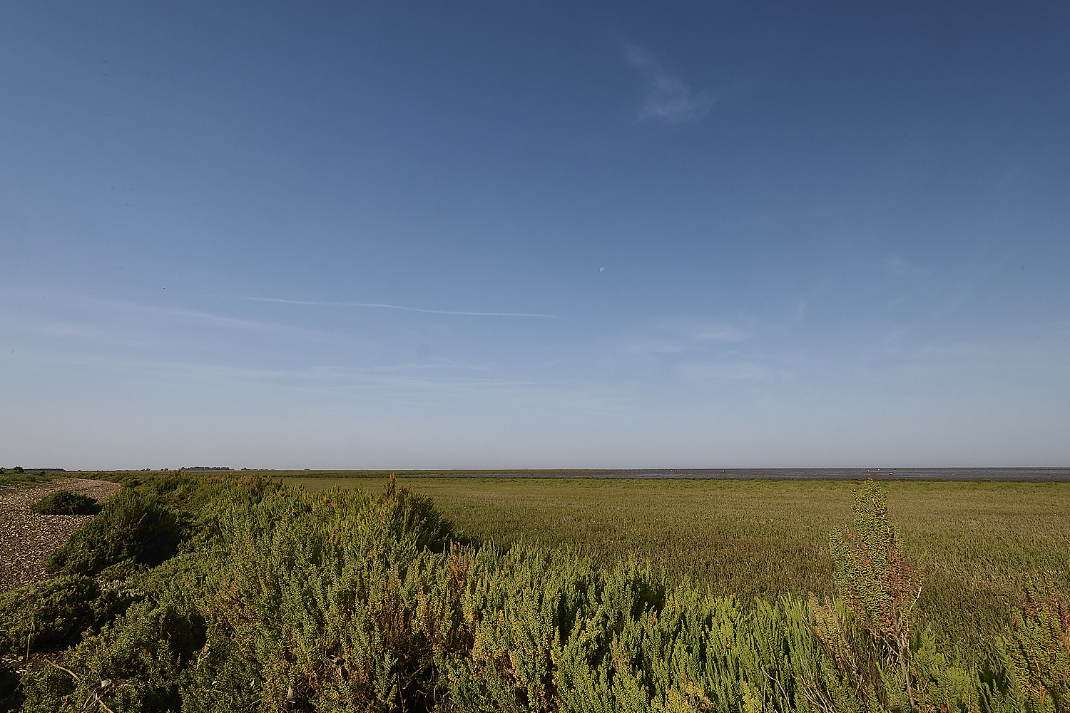 Snettisham130825-7