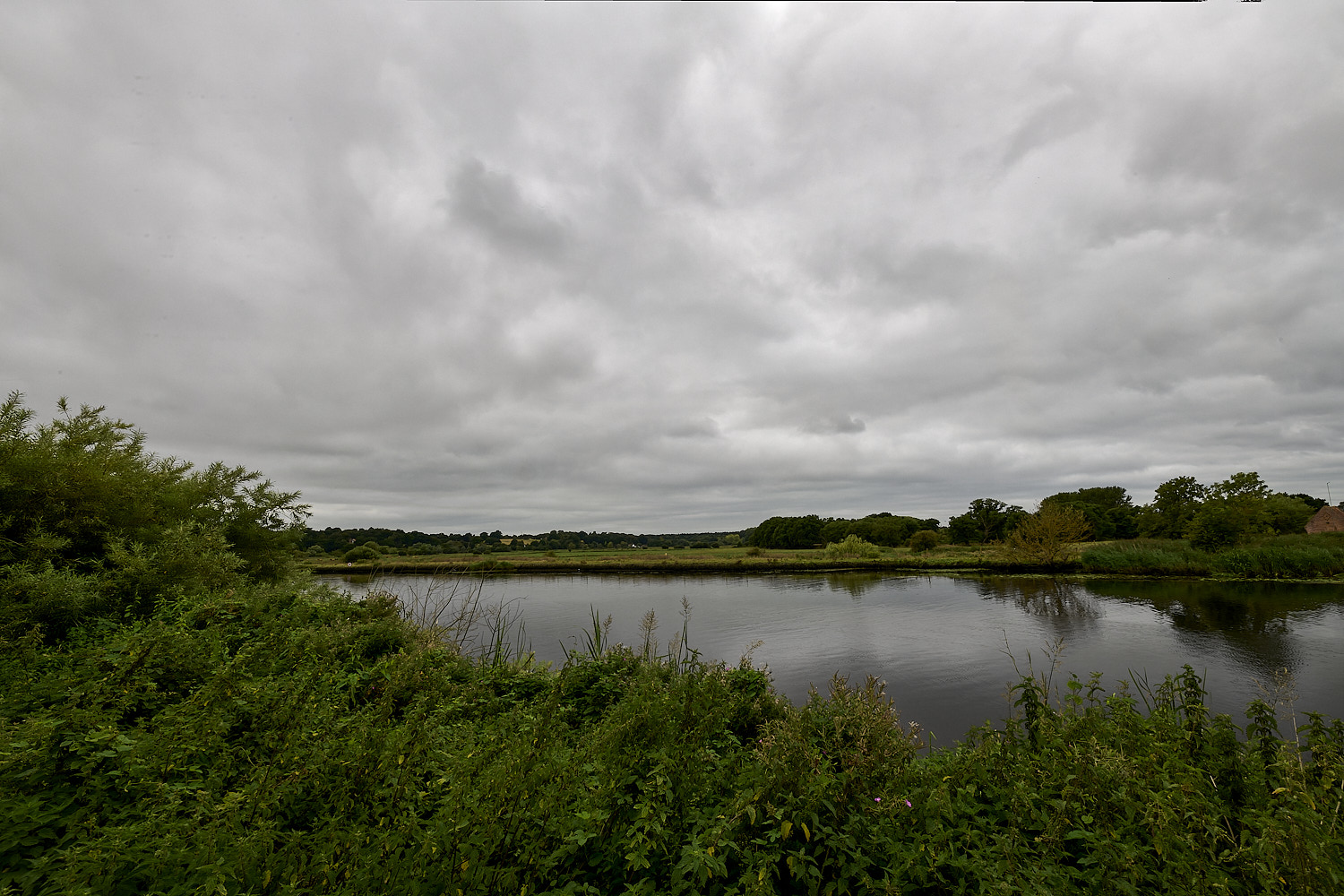 SurlinghamMarsh170825-1