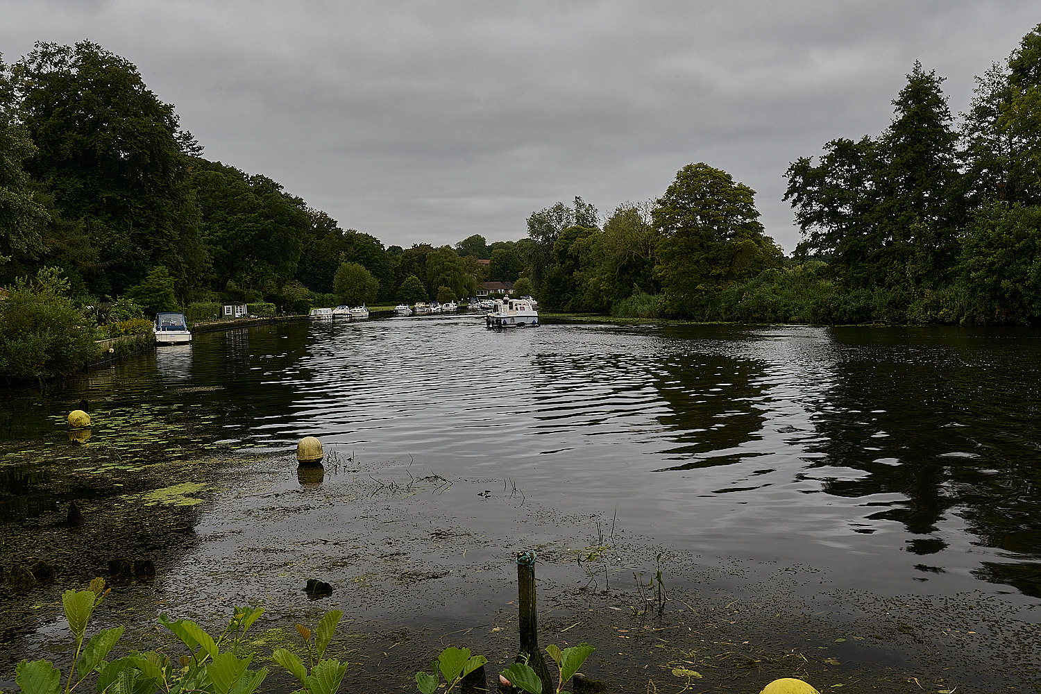 SurlinghamMarsh170825-4