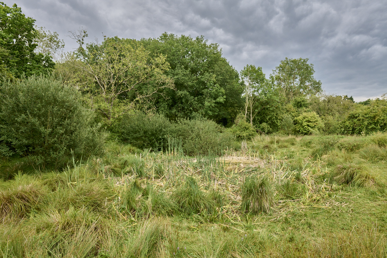 ThompsonCommon270725-1