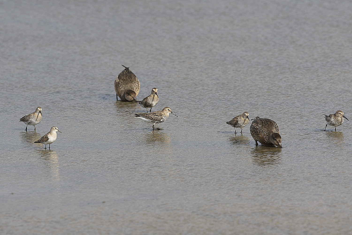 TitchwellLittleStint180925-3