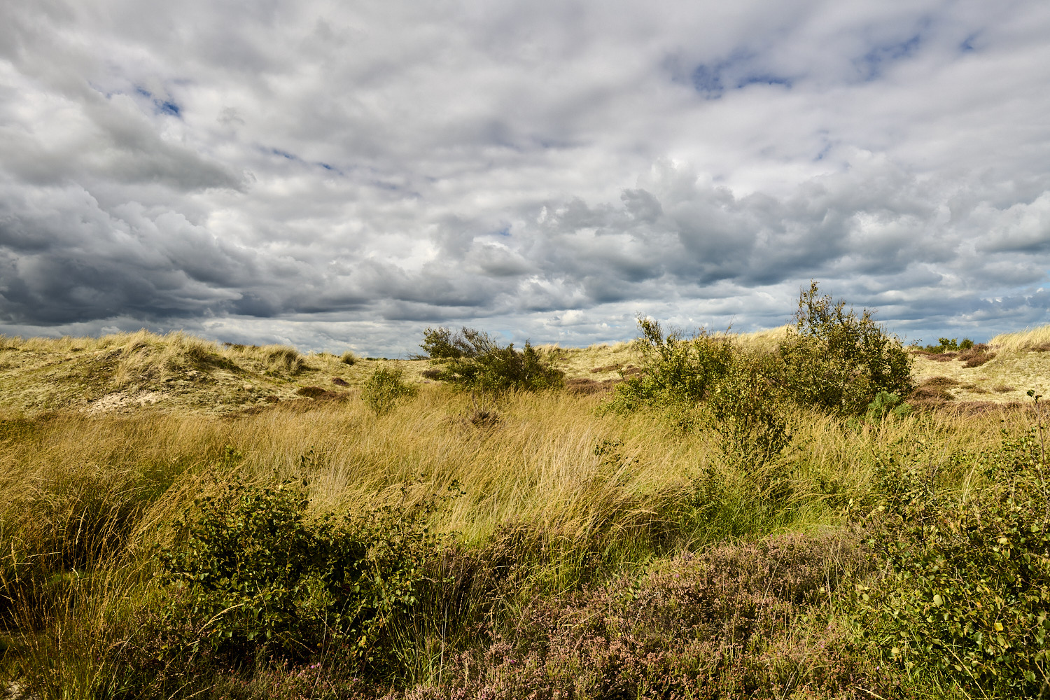 Winterton160925-2
