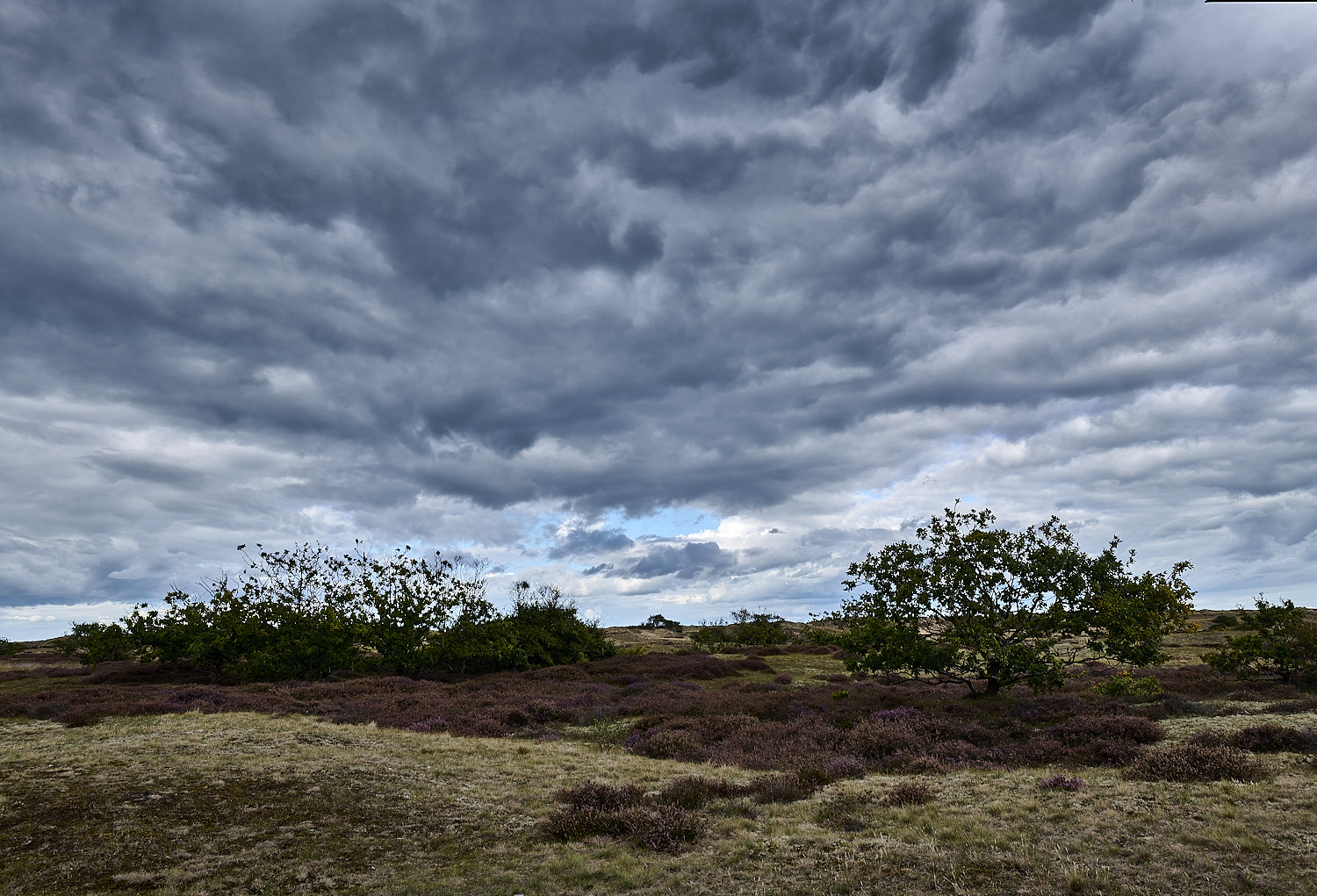 Winterton160925-3