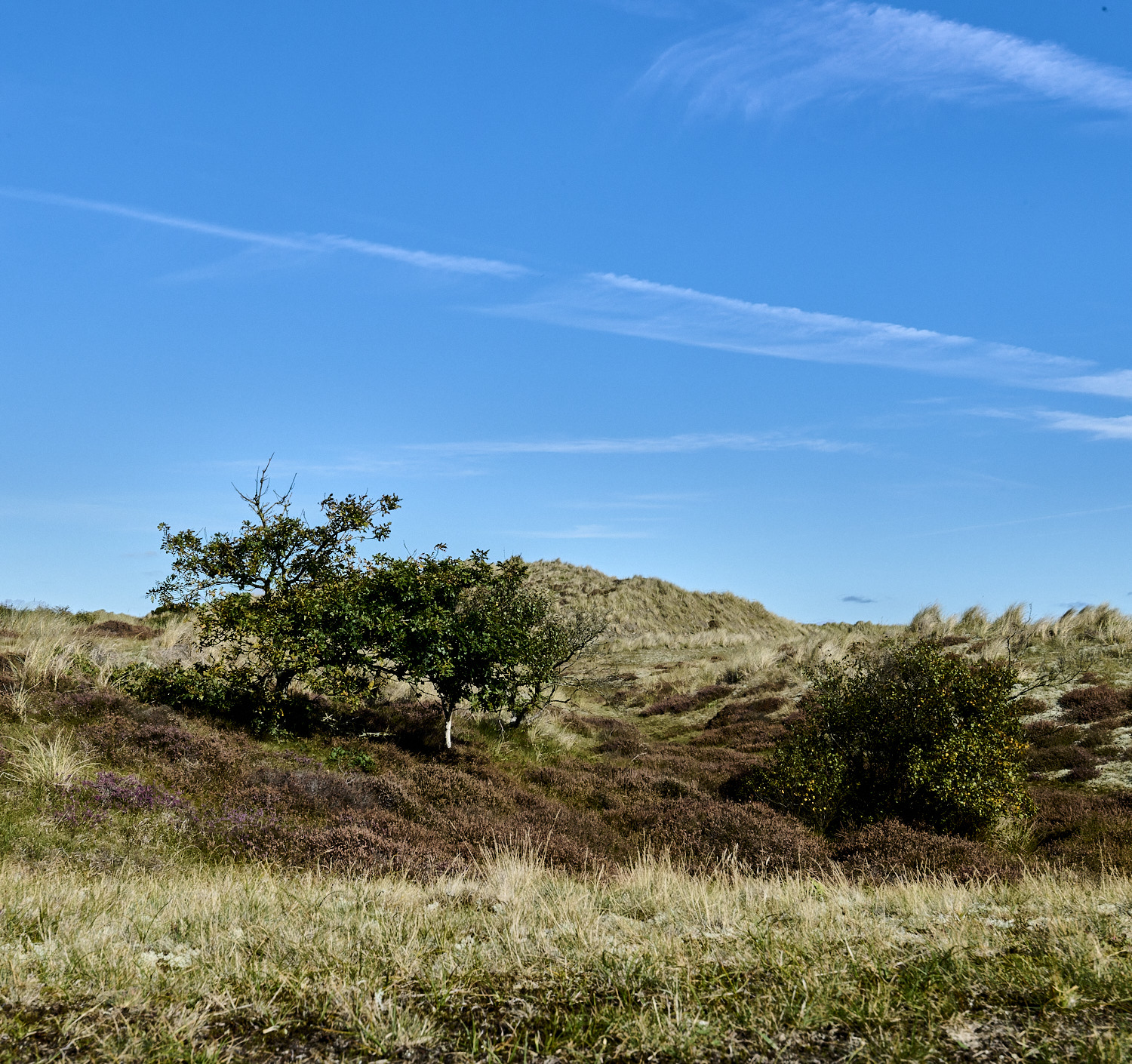 Winterton290925-1