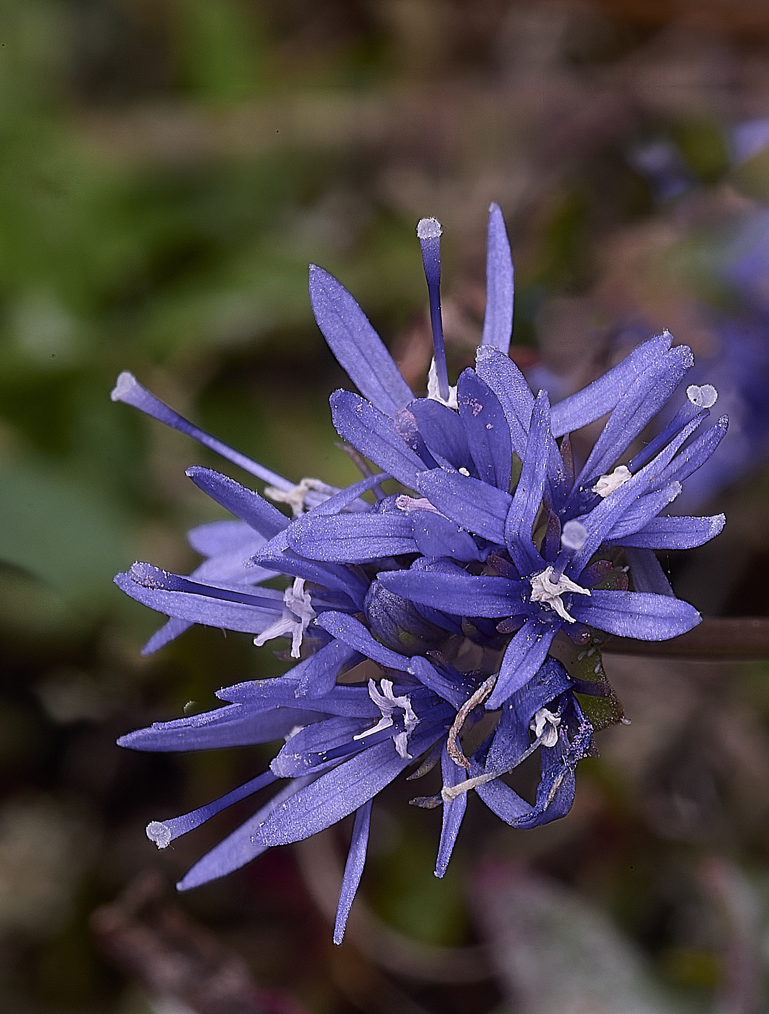 Wintertonjasione160925-1