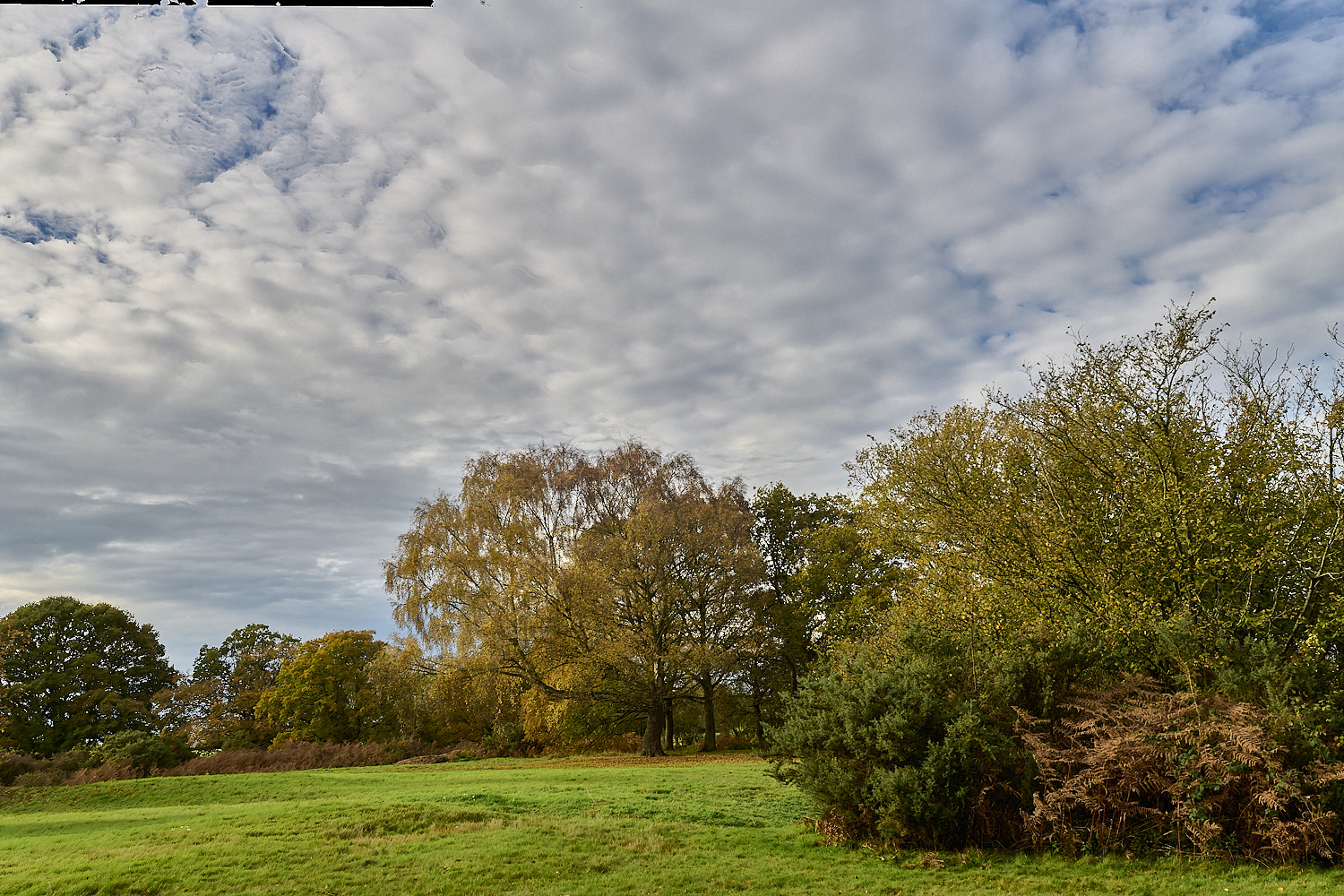 AbelHeath121125-3