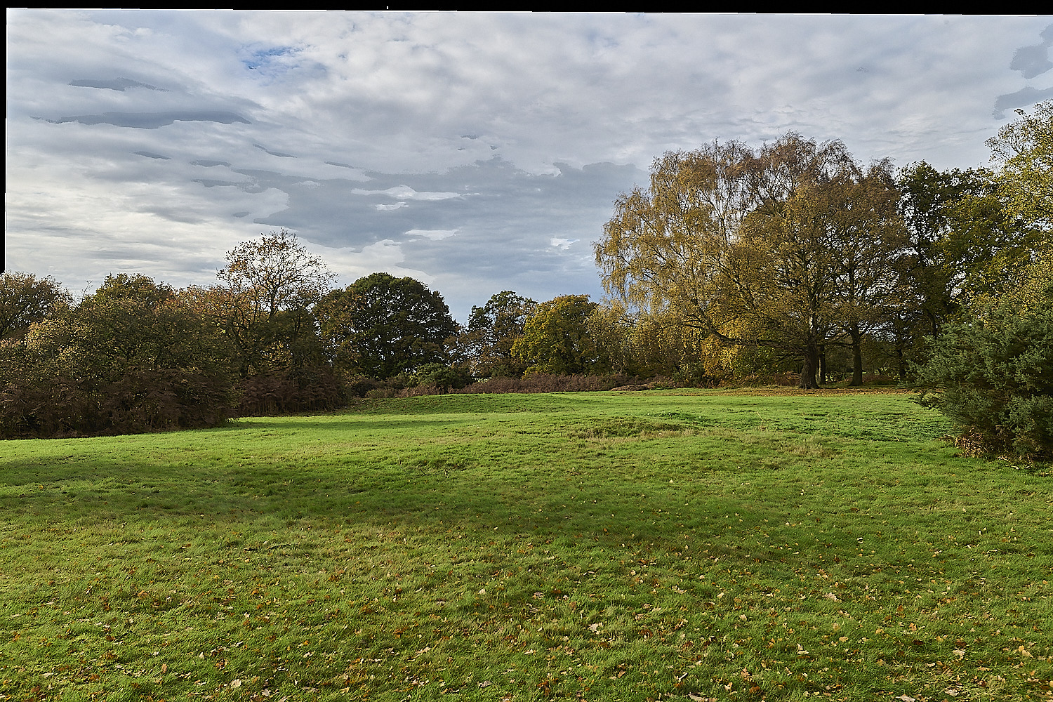 AbelHeath121125-4