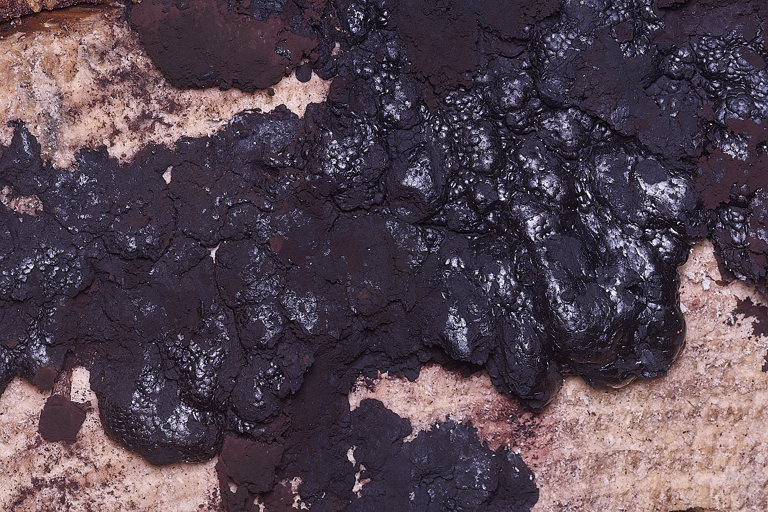 CawstonHeathBlackThing311225-1