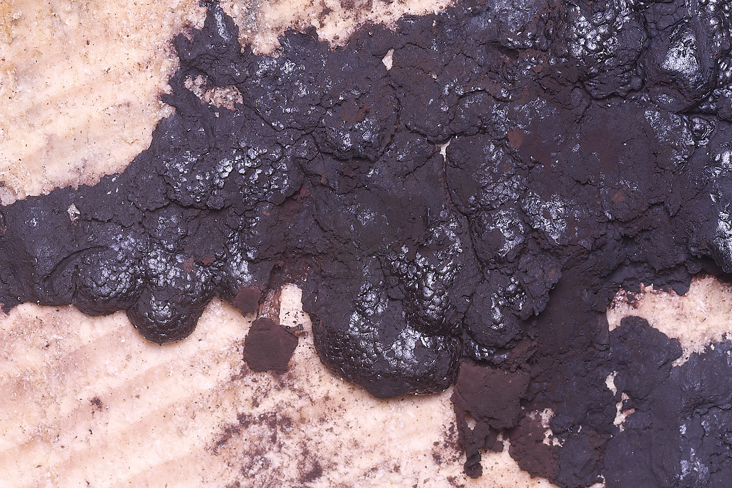 CawstonHeathBlackThing311225-2