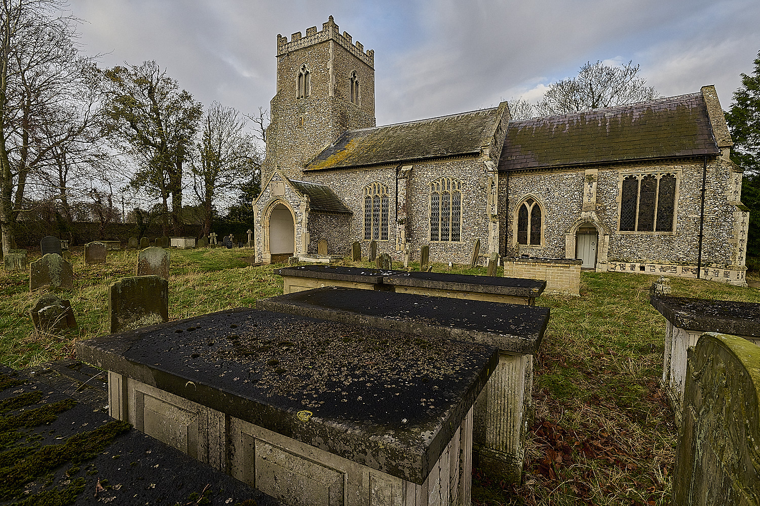 StMarysWarhamDermatocarponminuatum081225-1